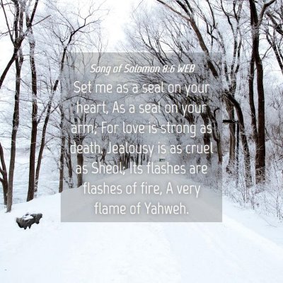 Picture 04 - Song of Solomon 8:6 WEB - Set me as a seal on your heart, As a seal on your - Bible Verse Picture