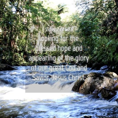 Picture 04 - Titus 2:13 WEB - looking for the blessed hope and appearing of the - Bible Verse Picture