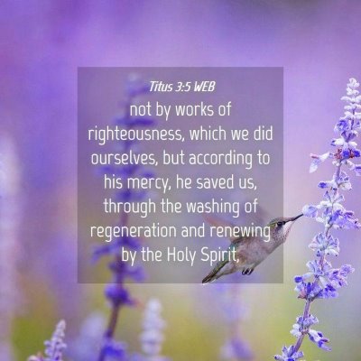 Picture 04 - Titus 3:5 WEB - not by works of righteousness, which we did - Bible Verse Picture