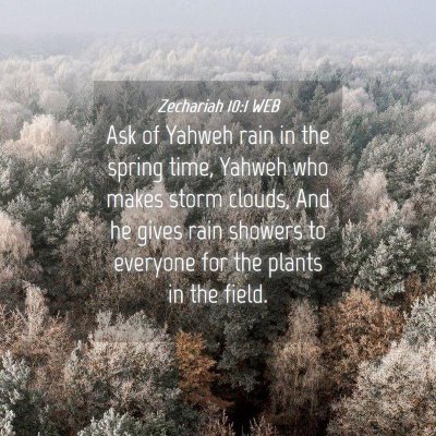 Picture 04 - Zechariah 10:1 WEB - Ask of Yahweh rain in the spring time, Yahweh who - Bible Verse Picture