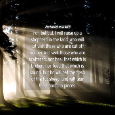 Picture 04 - Zechariah 11:16 WEB - For, behold, I will raise up a shepherd in the - Bible Verse Picture