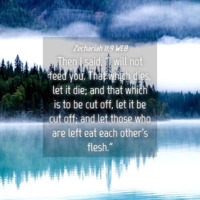 Picture 04 - Zechariah 11:9 WEB - Then I said, 