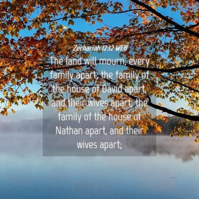 Picture 04 - Zechariah 12:12 WEB - The land will mourn, every family apart; the - Bible Verse Picture