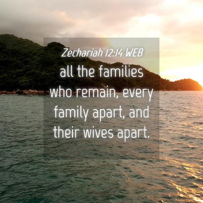 Picture 04 - Zechariah 12:14 WEB - all the families who remain, every family apart, - Bible Verse Picture