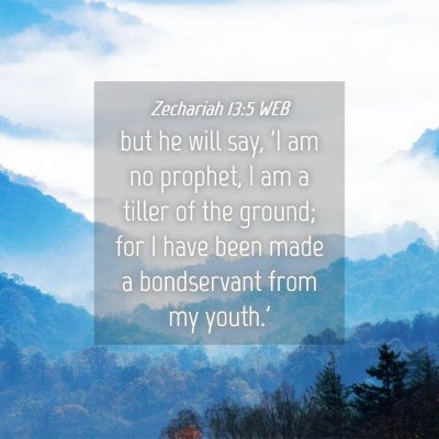 Picture 04 - Zechariah 13:5 WEB - but he will say, 'I am no prophet, I am a tiller - Bible Verse Picture
