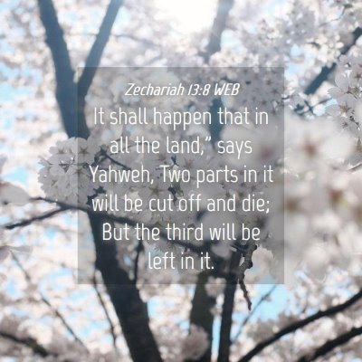 Picture 04 - Zechariah 13:8 WEB - It shall happen that in all the land,