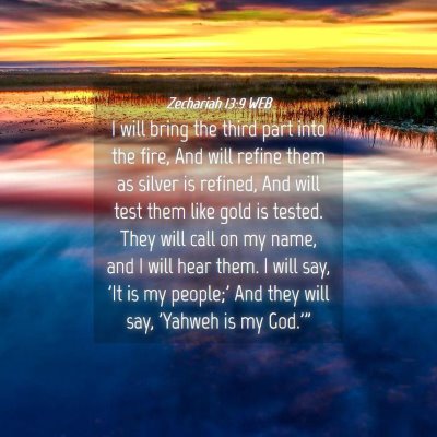Picture 04 - Zechariah 13:9 WEB - I will bring the third part into the fire, And - Bible Verse Picture