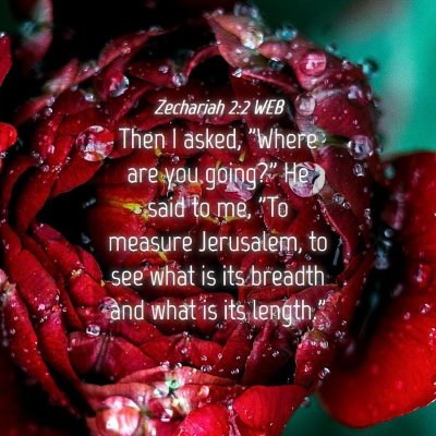 Picture 04 - Zechariah 2:2 WEB - Then I asked, 