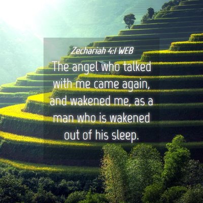 Picture 04 - Zechariah 4:1 WEB - The angel who talked with me came again, and - Bible Verse Picture