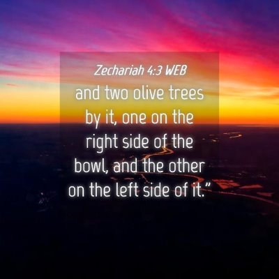 Picture 04 - Zechariah 4:3 WEB - and two olive trees by it, one on the right side - Bible Verse Picture