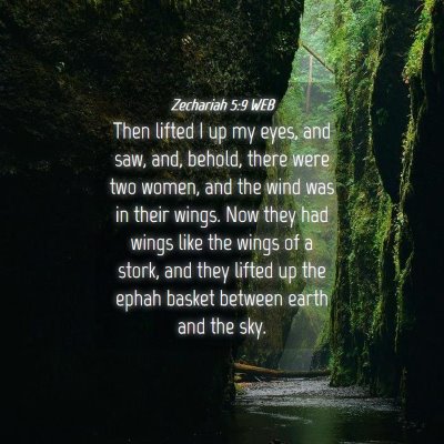 Picture 04 - Zechariah 5:9 WEB - Then lifted I up my eyes, and saw, and, behold, - Bible Verse Picture