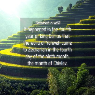 Picture 04 - Zechariah 7:1 WEB - It happened in the fourth year of king Darius - Bible Verse Picture