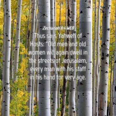 Picture 04 - Zechariah 8:4 WEB - Thus says Yahweh of Hosts: 