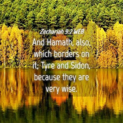 Picture 04 - Zechariah 9:2 WEB - And Hamath, also, which borders on it; Tyre and - Bible Verse Picture