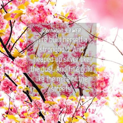 Picture 04 - Zechariah 9:3 WEB - Tyre built herself a stronghold, And heaped up - Bible Verse Picture