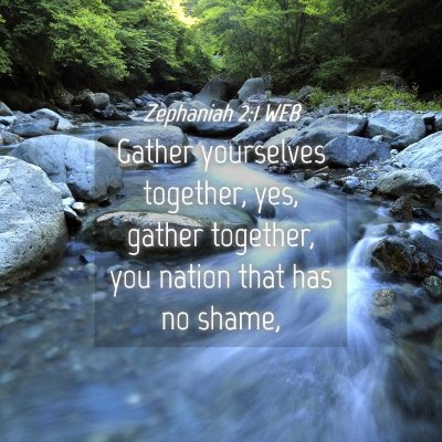 Picture 04 - Zephaniah 2:1 WEB - Gather yourselves together, yes, gather together, - Bible Verse Picture
