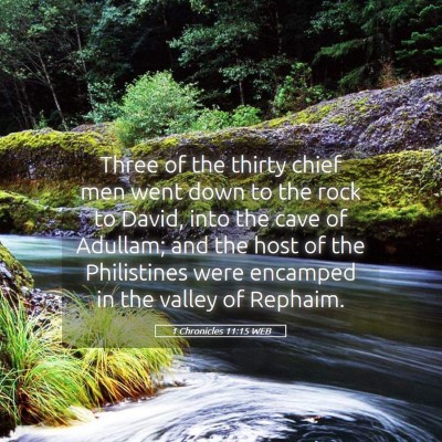 Picture 05 - 1 Chronicles 11:15 WEB - Three of the thirty chief men went down to the - Bible Verse Picture