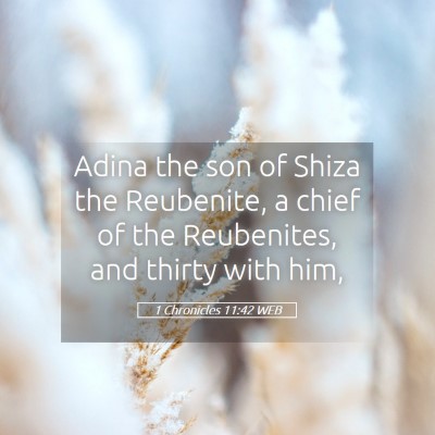 Picture 05 - 1 Chronicles 11:42 WEB - Adina the son of Shiza the Reubenite, a chief of - Bible Verse Picture