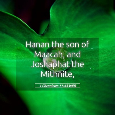 Picture 05 - 1 Chronicles 11:43 WEB - Hanan the son of Maacah, and Joshaphat the - Bible Verse Picture