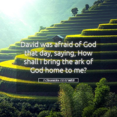 Picture 05 - 1 Chronicles 13:12 WEB - David was afraid of God that day, saying, How - Bible Verse Picture