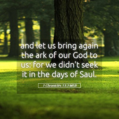 Picture 05 - 1 Chronicles 13:3 WEB - and let us bring again the ark of our God to us: - Bible Verse Picture