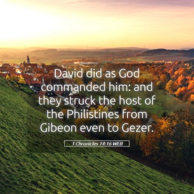 Picture 05 - 1 Chronicles 14:16 WEB - David did as God commanded him: and they struck - Bible Verse Picture