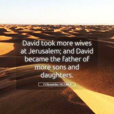 Picture 05 - 1 Chronicles 14:3 WEB - David took more wives at Jerusalem; and David - Bible Verse Picture