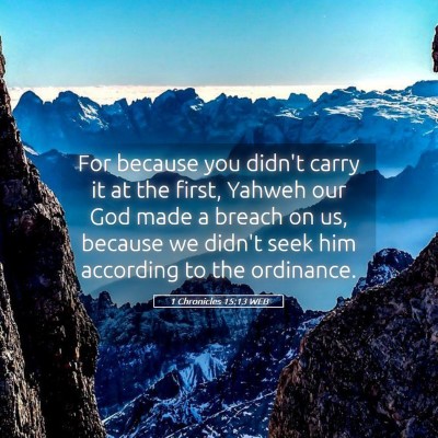 Picture 05 - 1 Chronicles 15:13 WEB - For because you didn't carry it at the first, - Bible Verse Picture