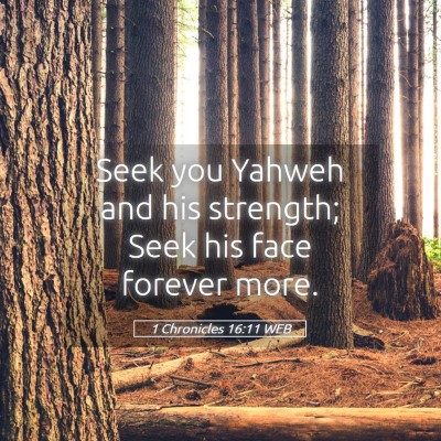 Picture 05 - 1 Chronicles 16:11 WEB - Seek you Yahweh and his strength; Seek his face - Bible Verse Picture