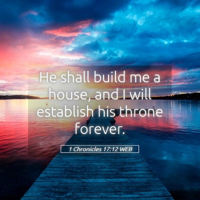 Picture 05 - 1 Chronicles 17:12 WEB - He shall build me a house, and I will establish - Bible Verse Picture