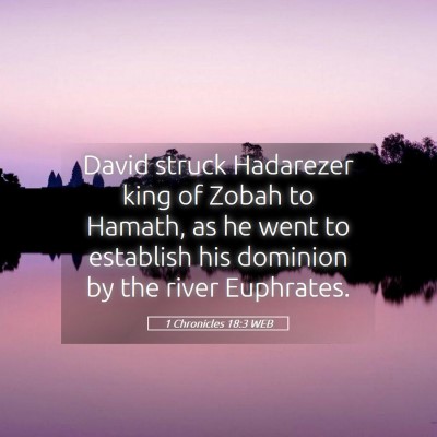 Picture 05 - 1 Chronicles 18:3 WEB - David struck Hadarezer king of Zobah to Hamath, - Bible Verse Picture
