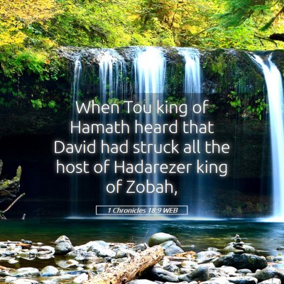 Picture 05 - 1 Chronicles 18:9 WEB - When Tou king of Hamath heard that David had - Bible Verse Picture