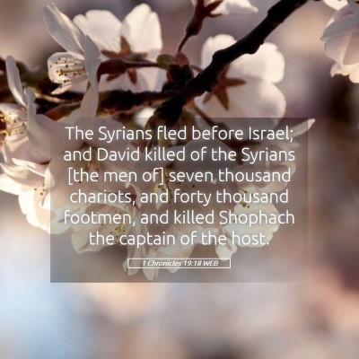 Picture 05 - 1 Chronicles 19:18 WEB - The Syrians fled before Israel; and David killed - Bible Verse Picture