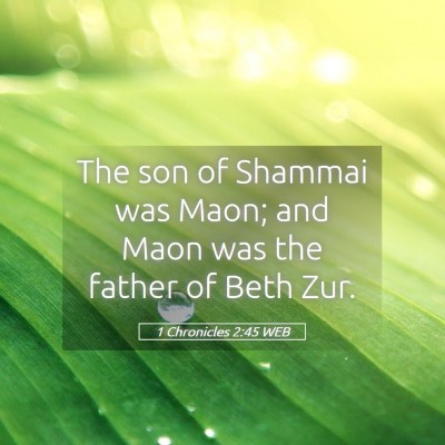 Picture 05 - 1 Chronicles 2:45 WEB - The son of Shammai was Maon; and Maon was the - Bible Verse Picture