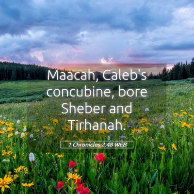 Picture 05 - 1 Chronicles 2:48 WEB - Maacah, Caleb's concubine, bore Sheber and - Bible Verse Picture