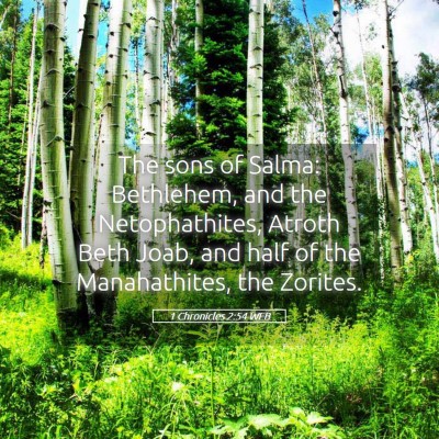Picture 05 - 1 Chronicles 2:54 WEB - The sons of Salma: Bethlehem, and the - Bible Verse Picture