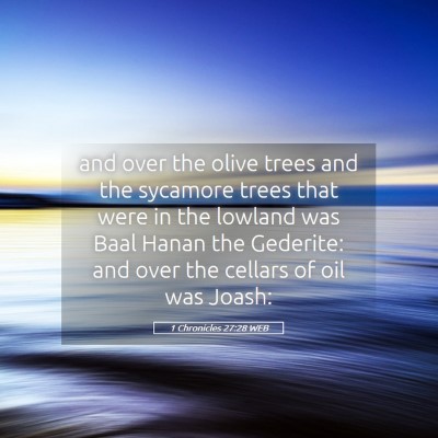Picture 05 - 1 Chronicles 27:28 WEB - and over the olive trees and the sycamore trees - Bible Verse Picture