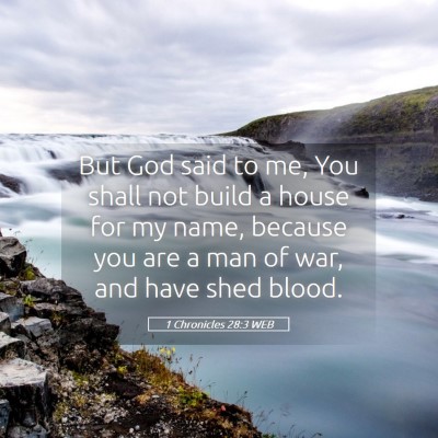 Picture 05 - 1 Chronicles 28:3 WEB - But God said to me, You shall not build a house - Bible Verse Picture