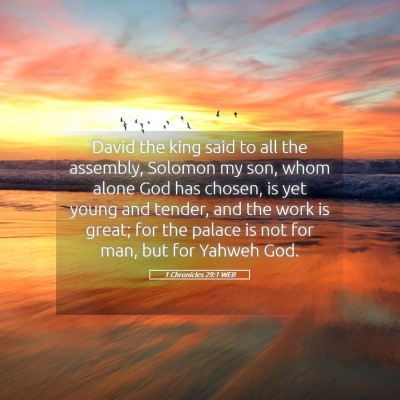 Picture 05 - 1 Chronicles 29:1 WEB - David the king said to all the assembly, Solomon - Bible Verse Picture