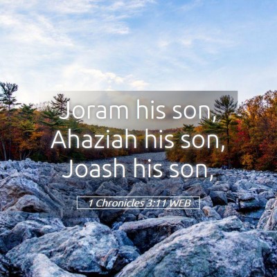 Picture 05 - 1 Chronicles 3:11 WEB - Joram his son, Ahaziah his son, Joash his - Bible Verse Picture