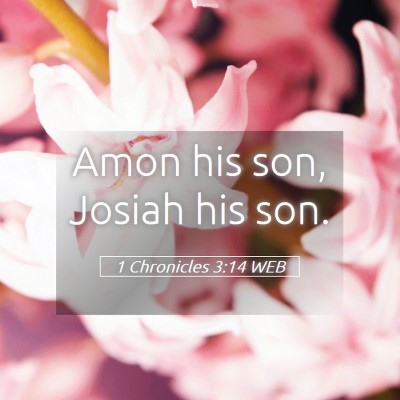 Picture 05 - 1 Chronicles 3:14 WEB - Amon his son, Josiah his - Bible Verse Picture