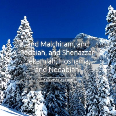 Picture 05 - 1 Chronicles 3:18 WEB - and Malchiram, and Pedaiah, and Shenazzar, - Bible Verse Picture