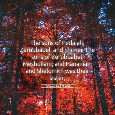 Picture 05 - 1 Chronicles 3:19 WEB - The sons of Pedaiah: Zerubbabel, and Shimei. The - Bible Verse Picture