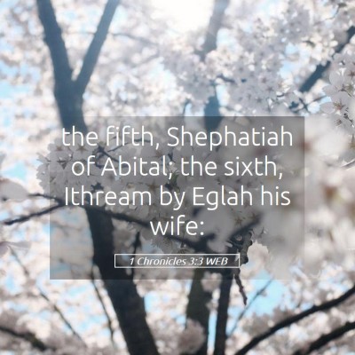 Picture 05 - 1 Chronicles 3:3 WEB - the fifth, Shephatiah of Abital; the sixth, - Bible Verse Picture