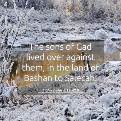 Picture 05 - 1 Chronicles 5:11 WEB - The sons of Gad lived over against them, in the - Bible Verse Picture