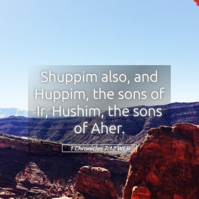 Picture 05 - 1 Chronicles 7:12 WEB - Shuppim also, and Huppim, the sons of Ir, Hushim, - Bible Verse Picture