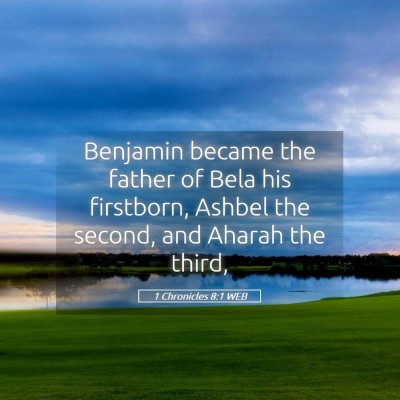 Picture 05 - 1 Chronicles 8:1 WEB - Benjamin became the father of Bela his firstborn, - Bible Verse Picture