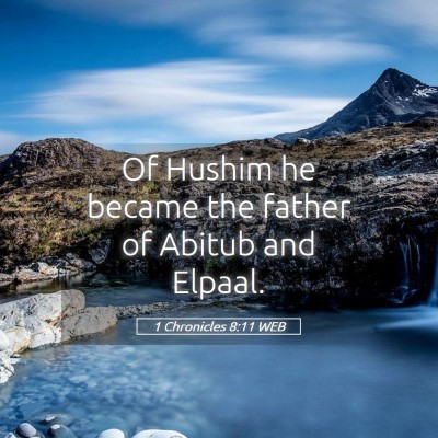 Picture 05 - 1 Chronicles 8:11 WEB - Of Hushim he became the father of Abitub and - Bible Verse Picture