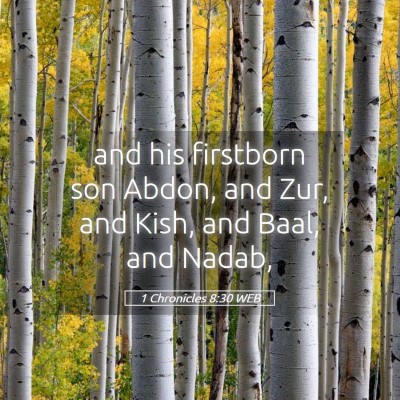 Picture 05 - 1 Chronicles 8:30 WEB - and his firstborn son Abdon, and Zur, and Kish, - Bible Verse Picture
