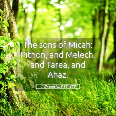 Picture 05 - 1 Chronicles 8:35 WEB - The sons of Micah: Pithon, and Melech, and Tarea, - Bible Verse Picture